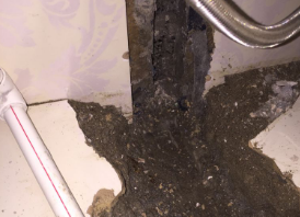 呼图壁卫生间测漏水哪家好