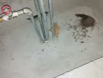 呼图壁卫生间测漏水价格明细