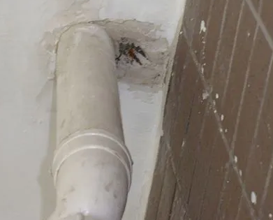 呼图壁漏水检测哪家好